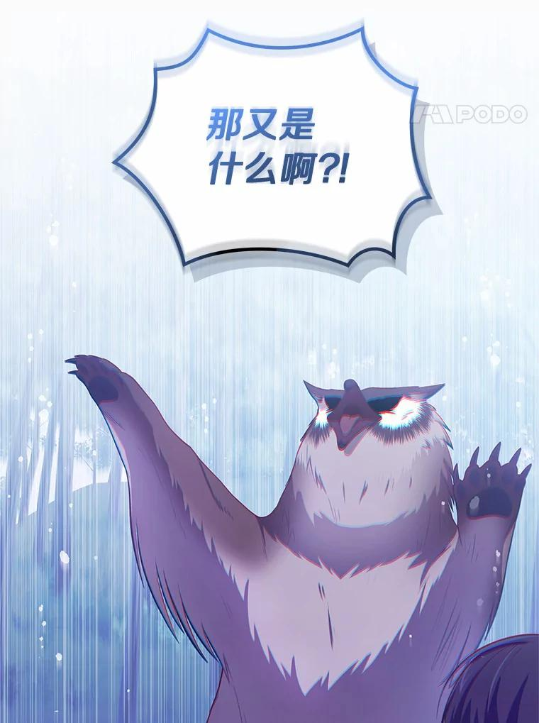 49.遇到枭熊 第4页