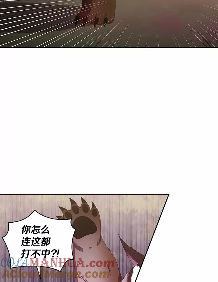 49.遇到枭熊 第25页