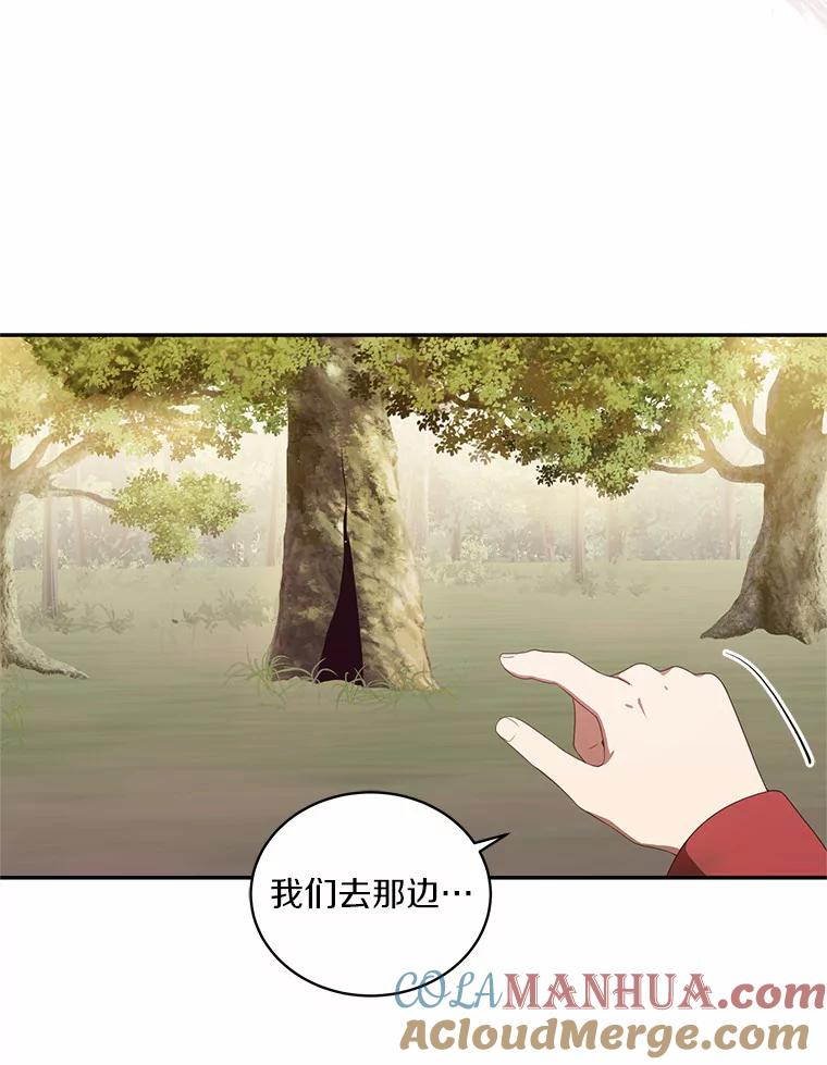 49.遇到枭熊 第37页