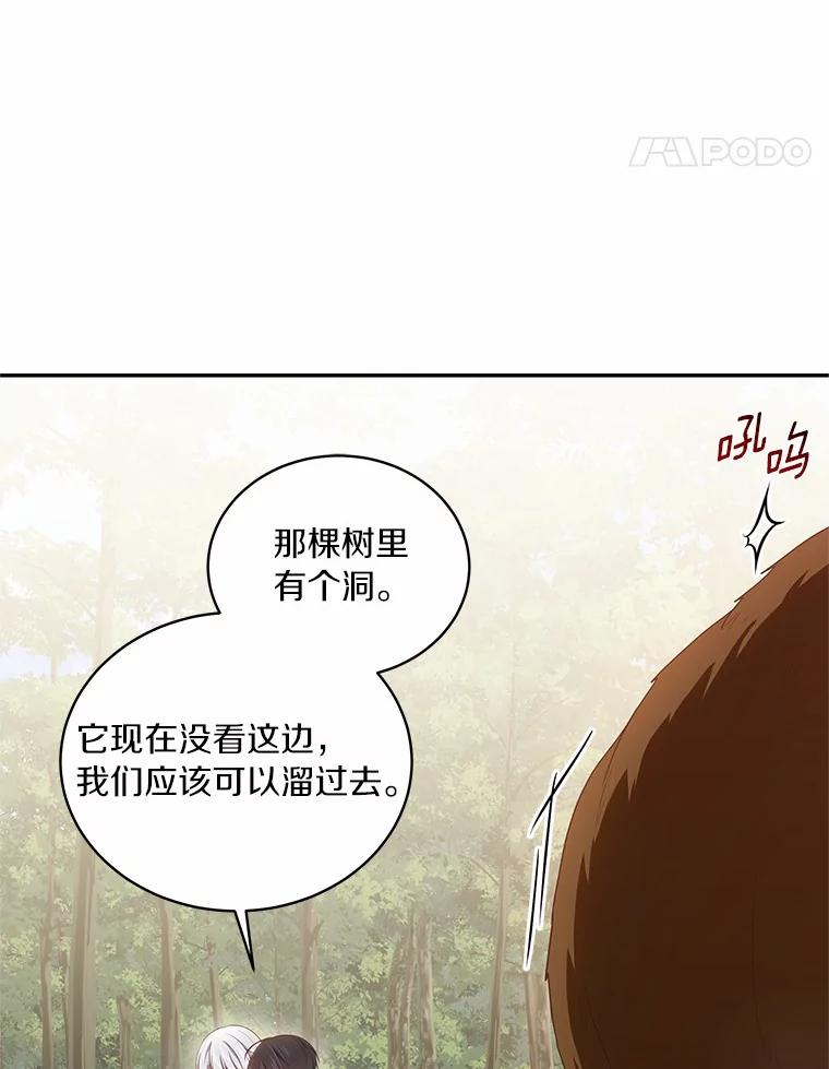49.遇到枭熊 第38页