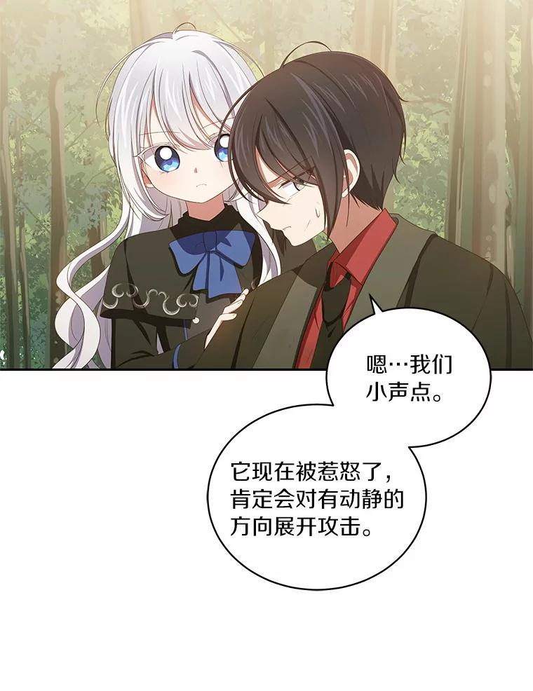 49.遇到枭熊 第40页
