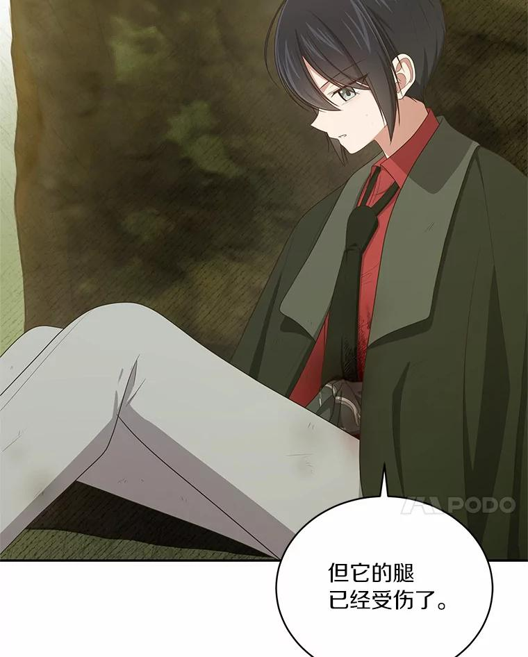 49.遇到枭熊 第51页