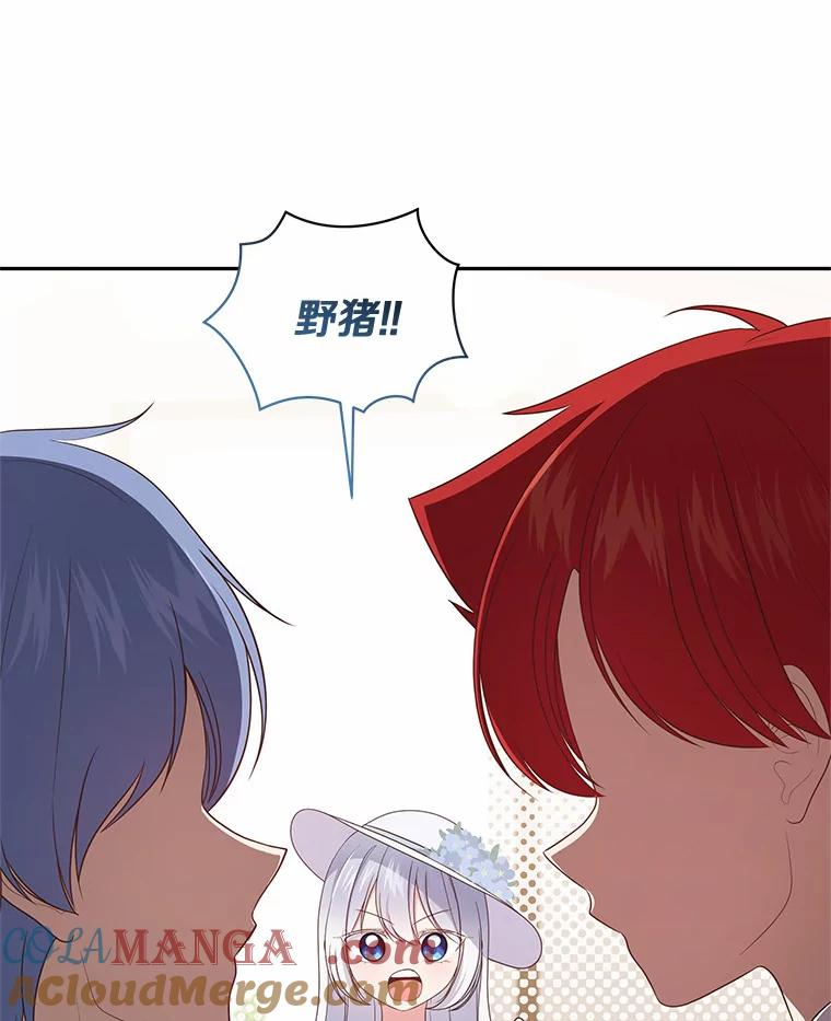 61.“野猪”艾德蒙 第16页