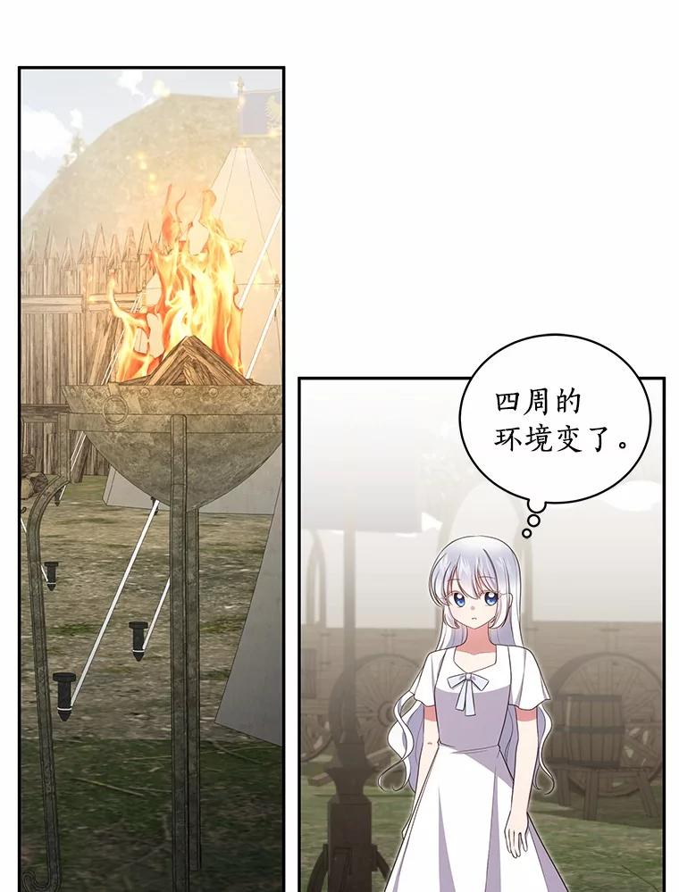 73.永恒之春 第14页