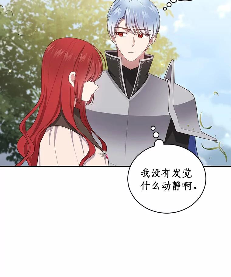 73.永恒之春 第70页