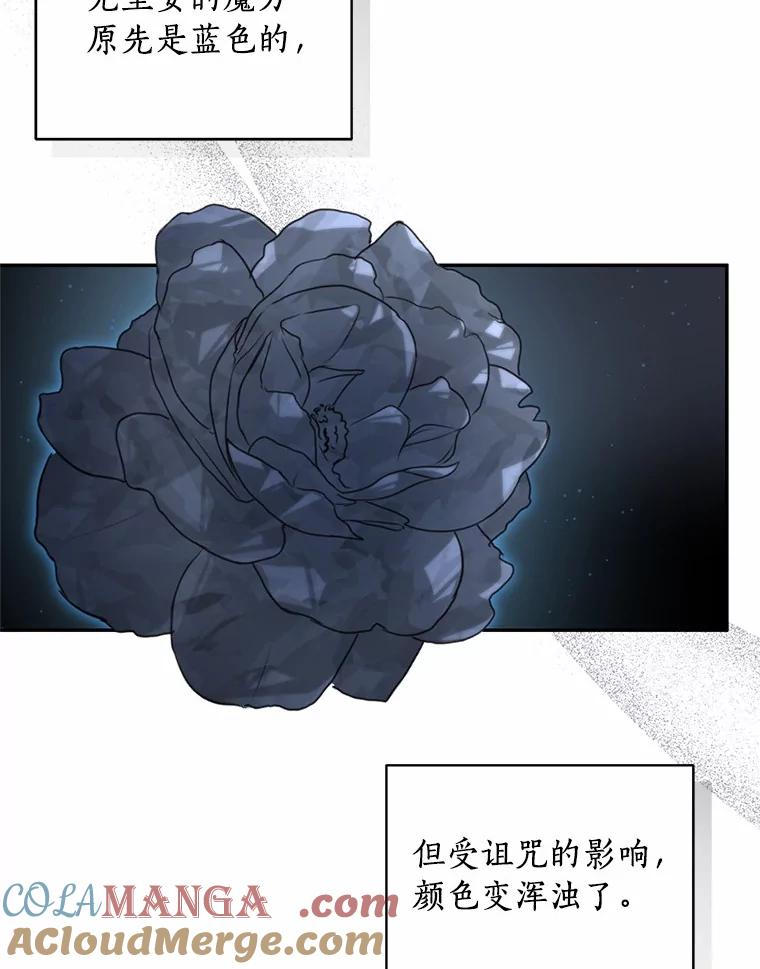 88.生日礼物 第85页