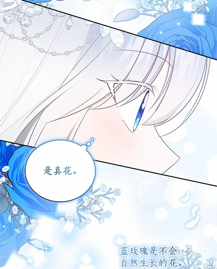 91.奇迹（完） 第95页