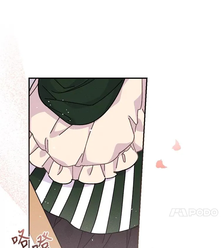 5.“梅开二度” 第11页
