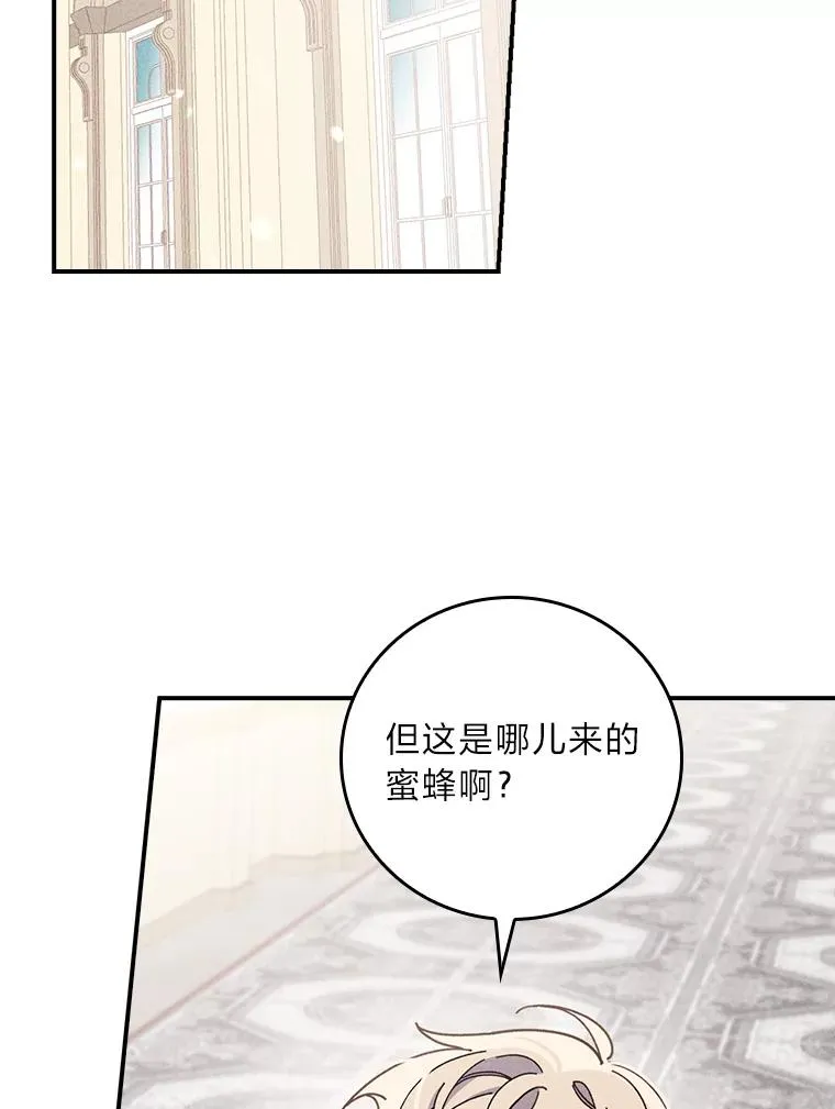13.让出选择权 第2页