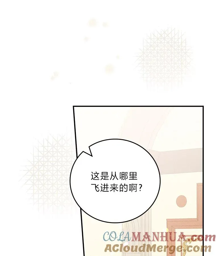 13.让出选择权 第13页