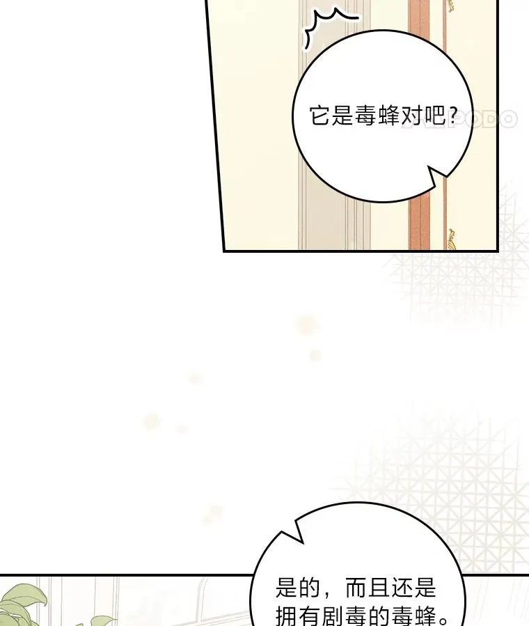 13.让出选择权 第14页