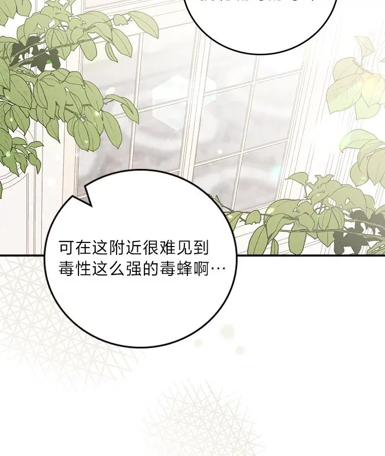 13.让出选择权 第15页