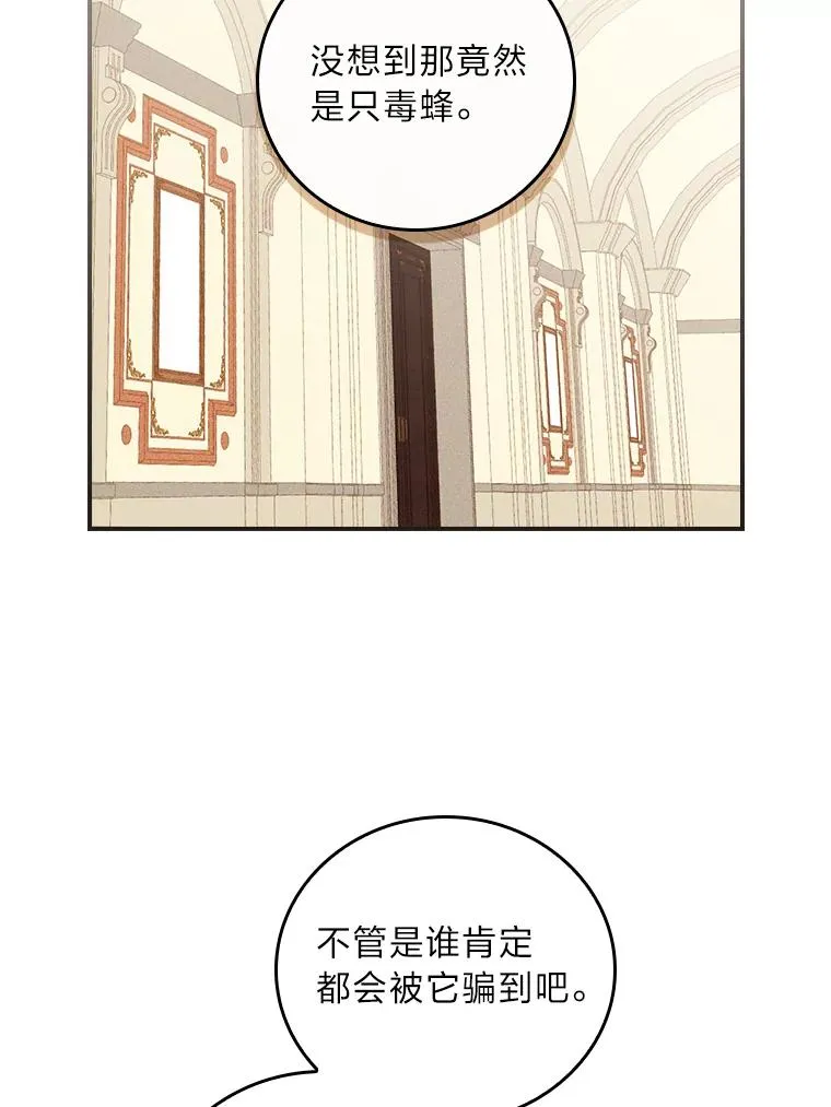 13.让出选择权 第34页