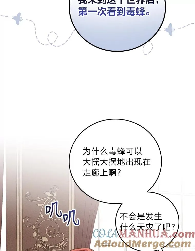 13.让出选择权 第73页