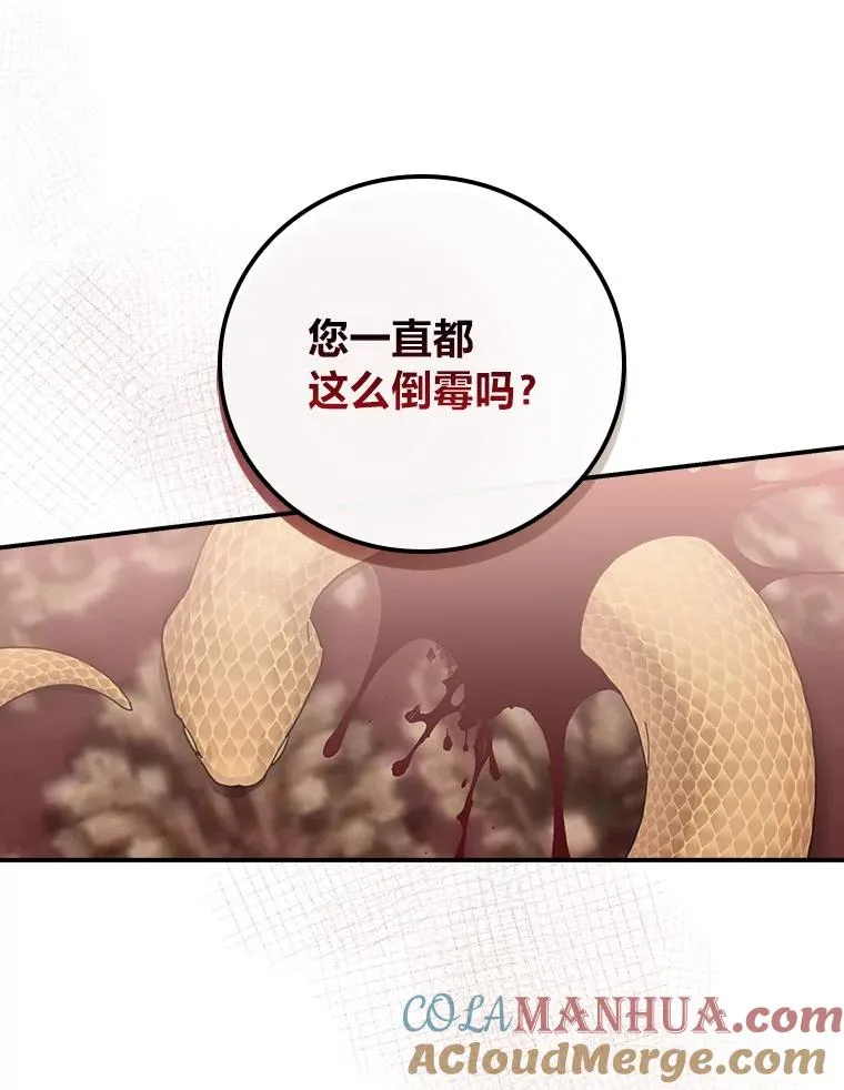 20.毒蛇危机 第29页