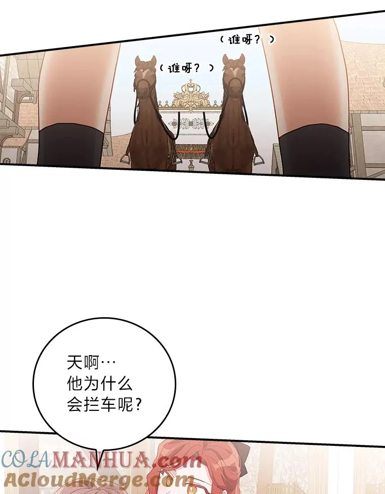 22.再遇盗贼团伙 第5页
