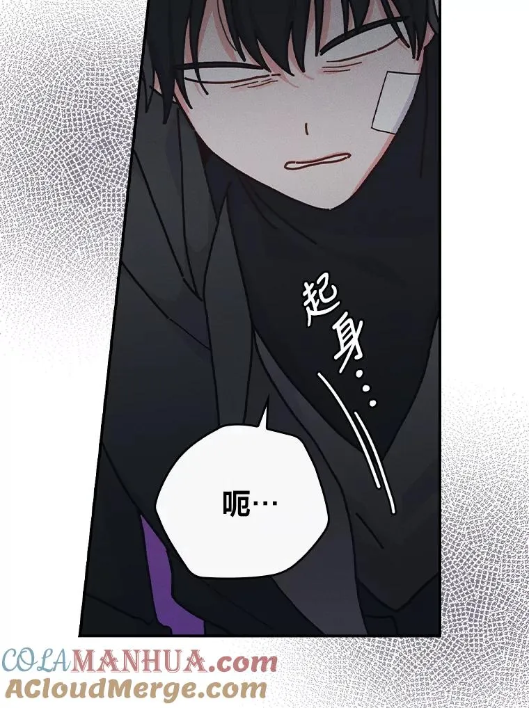 30.天降完美护卫 第13页
