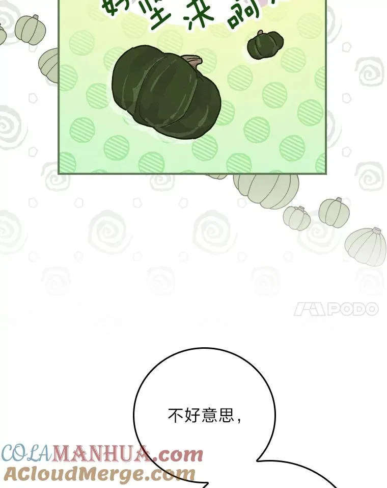 30.天降完美护卫 第85页