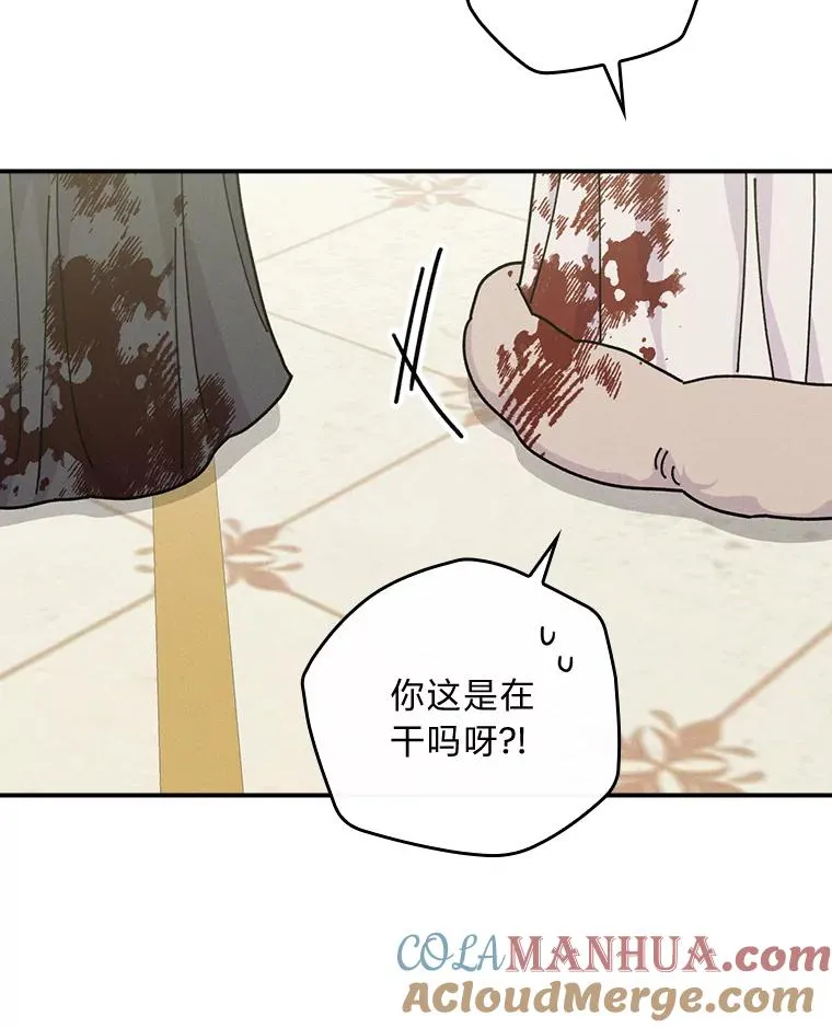40.找茬 第69页