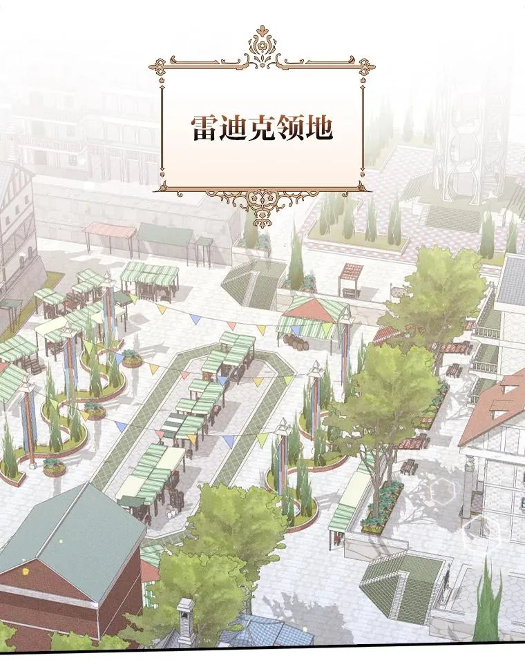45.雷迪克领地 第23页