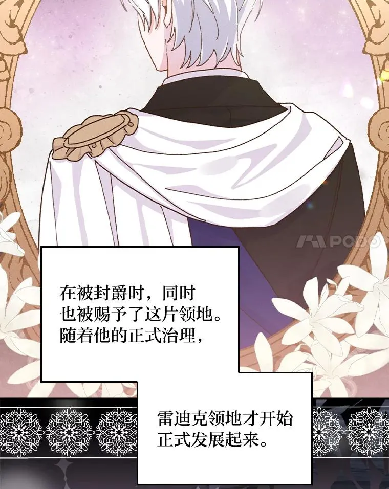 45.雷迪克领地 第28页