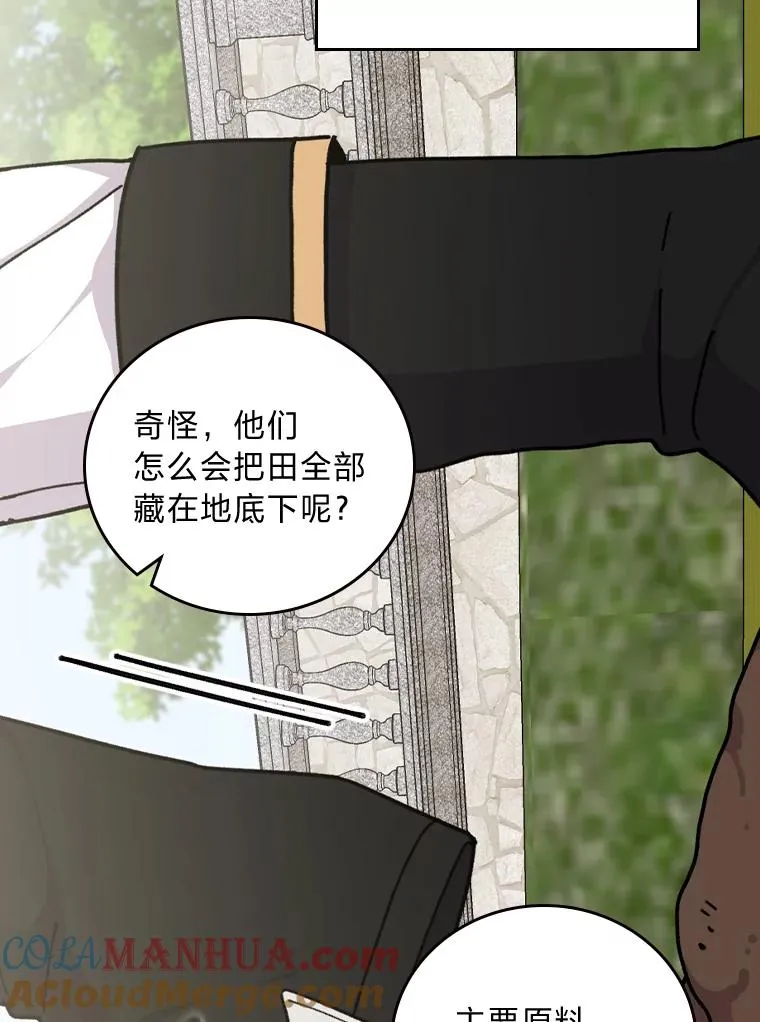 57.卢卡斯案的收尾 第29页
