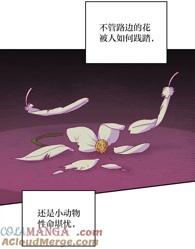 74.埃西的礼物 第46页