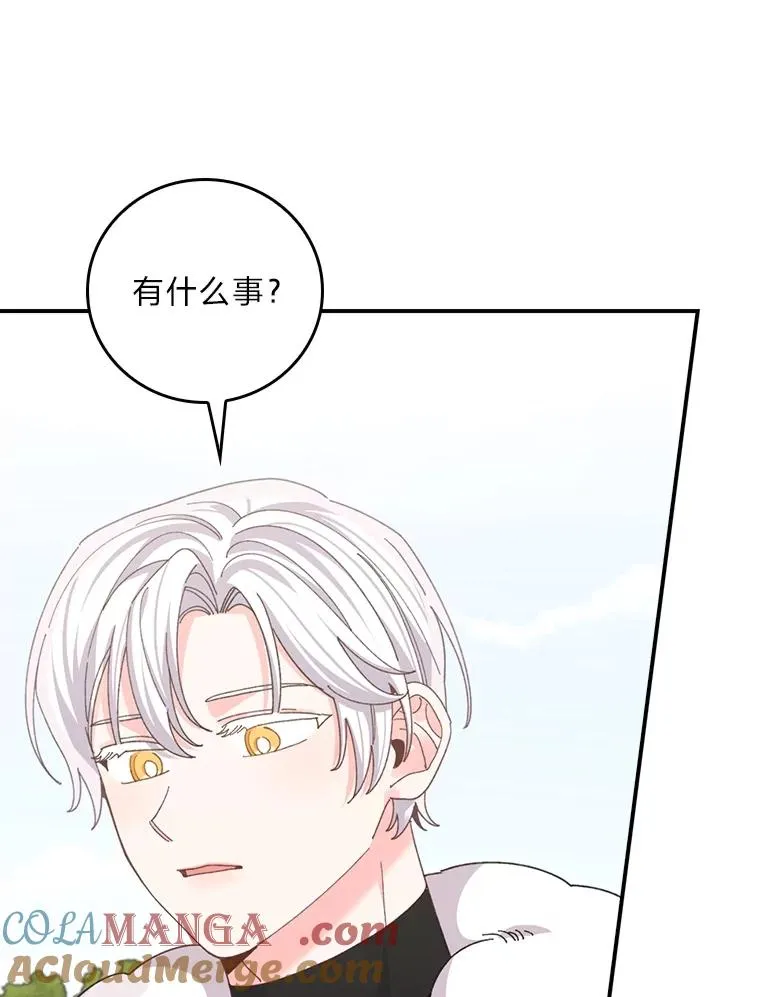 97.公爵的婚讯 第13页