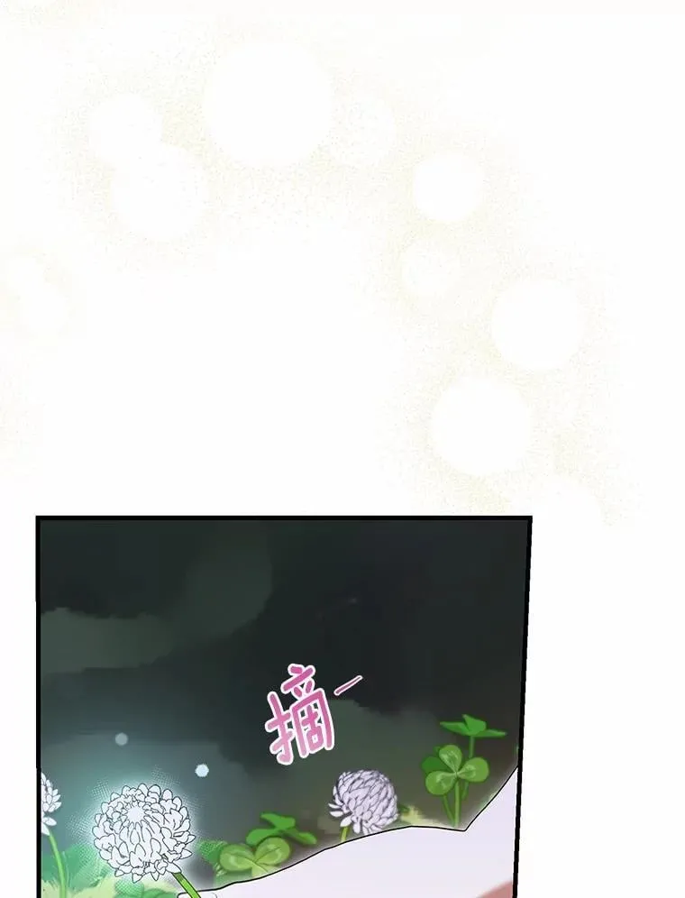 54.奇迹 第11页