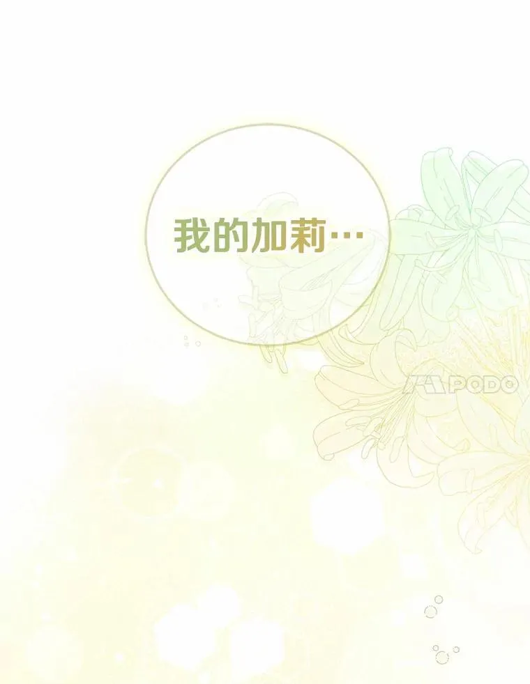 54.奇迹 第27页