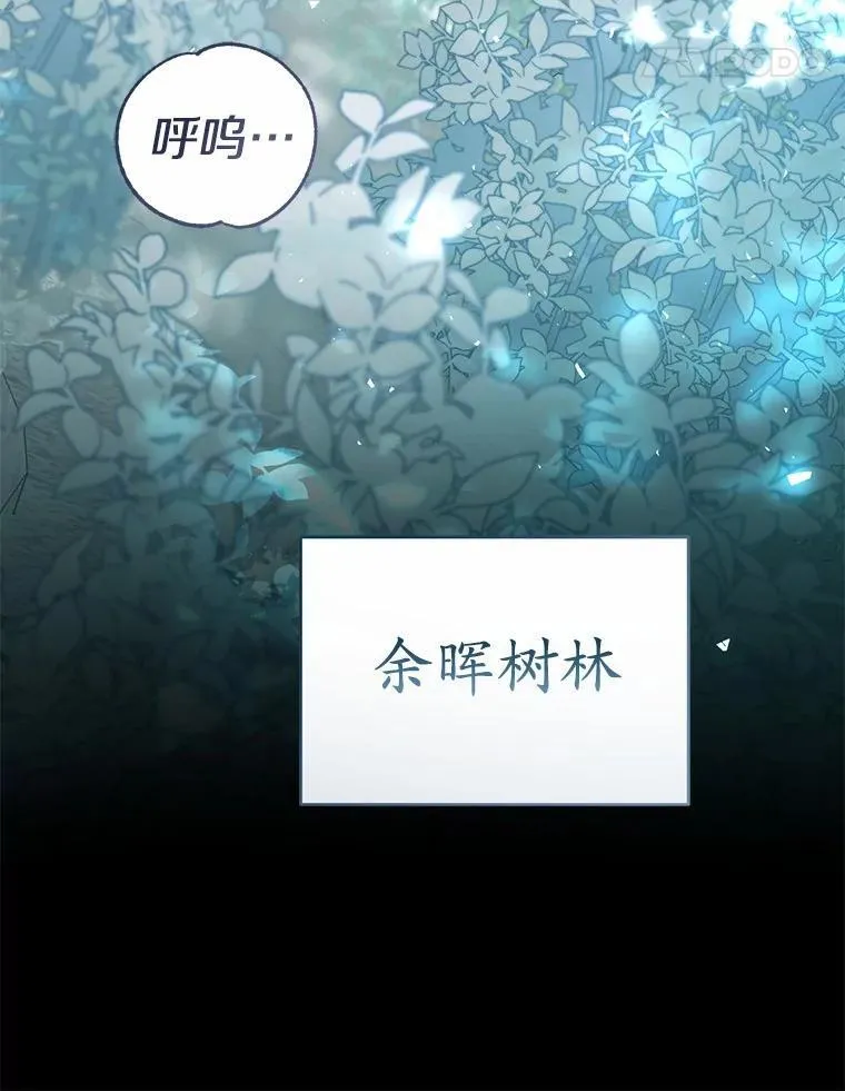 54.奇迹 第133页