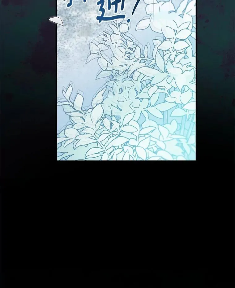 54.奇迹 第137页