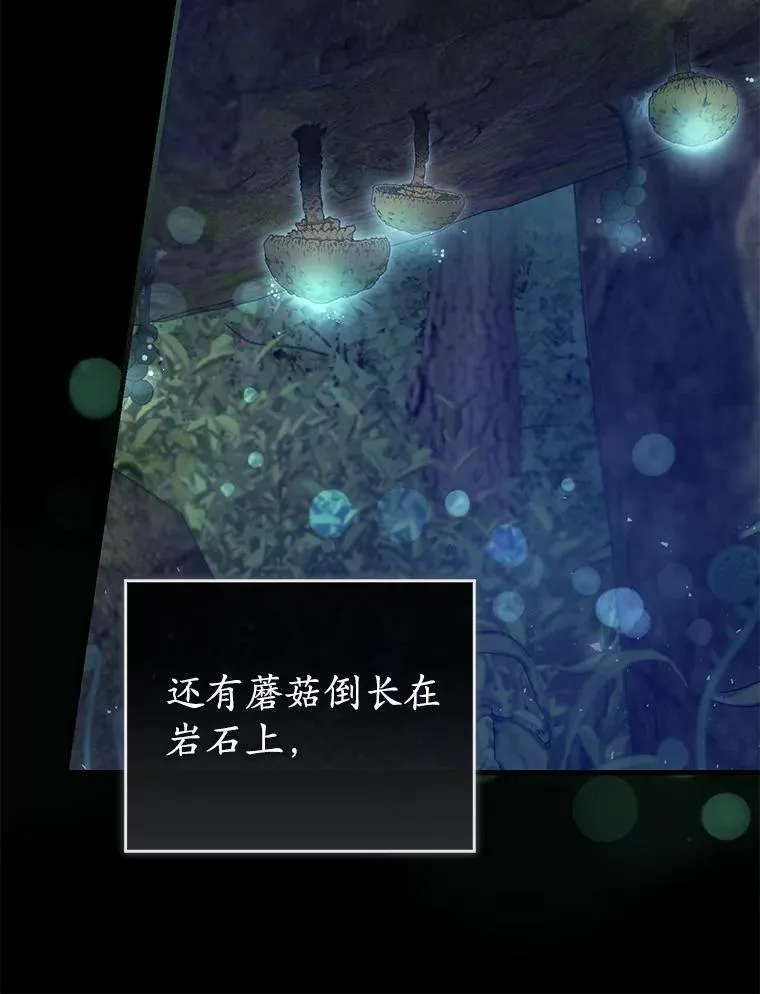55.白夜空间 第15页