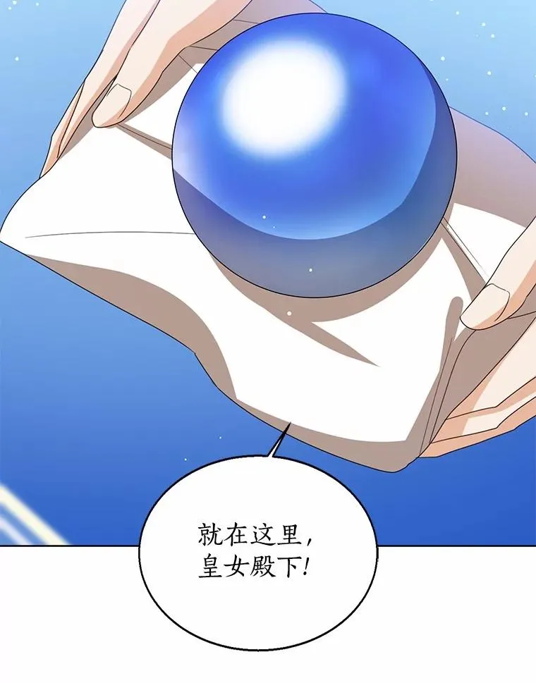 113.红色胸针事件（4） 第87页