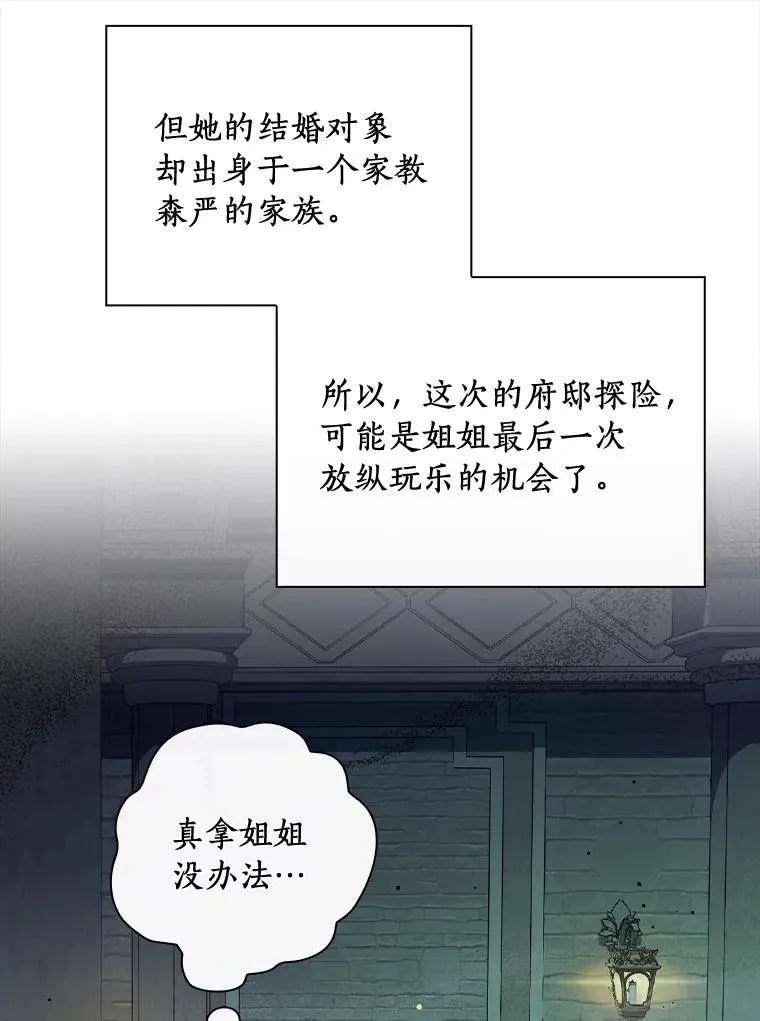 14.迷宫府邸 第74页
