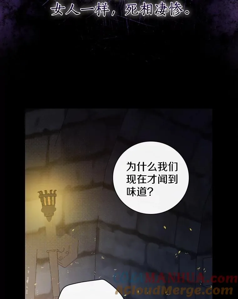 24.我留下 第69页