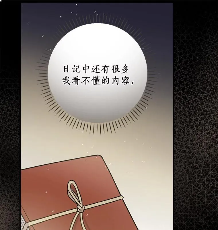 29.翻译日记 第12页
