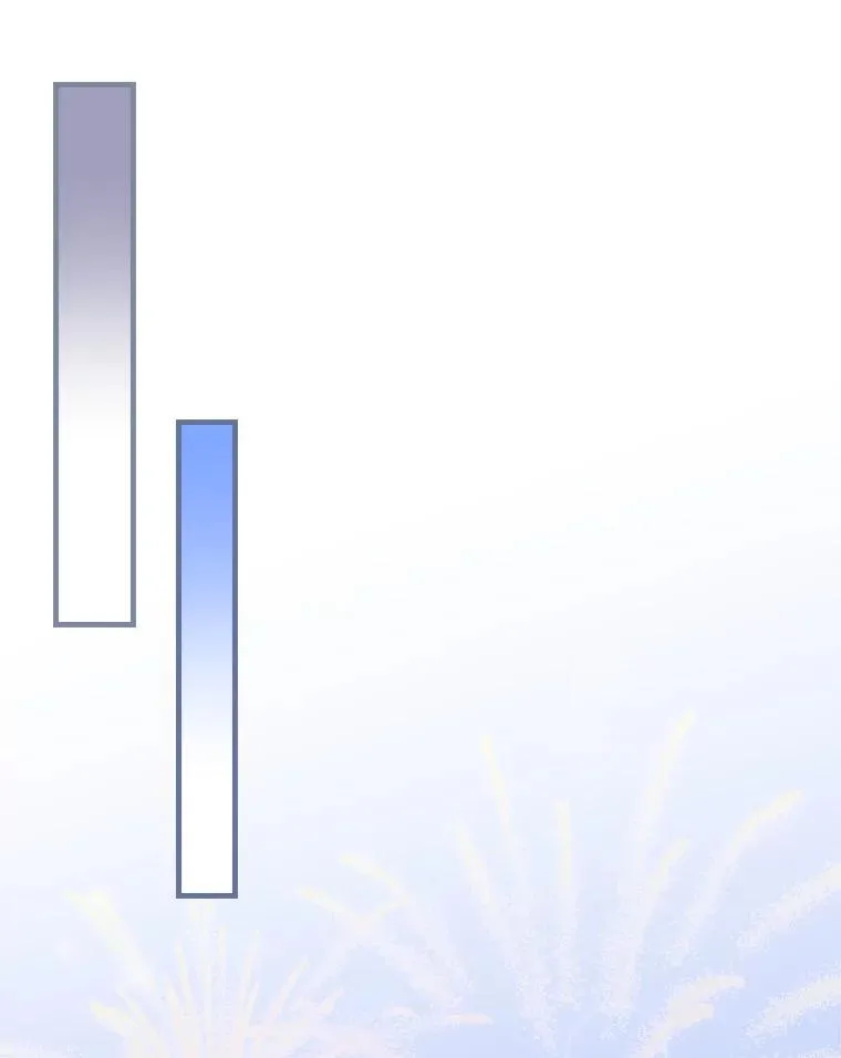 81.决赛开始 第46页
