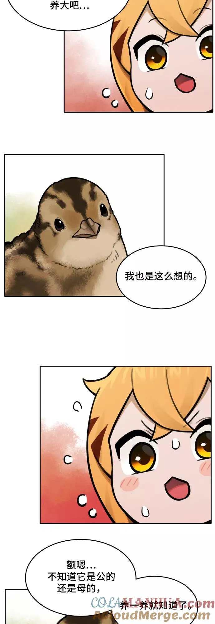 [第67话] 虎妞的妹妹（1） 第15页