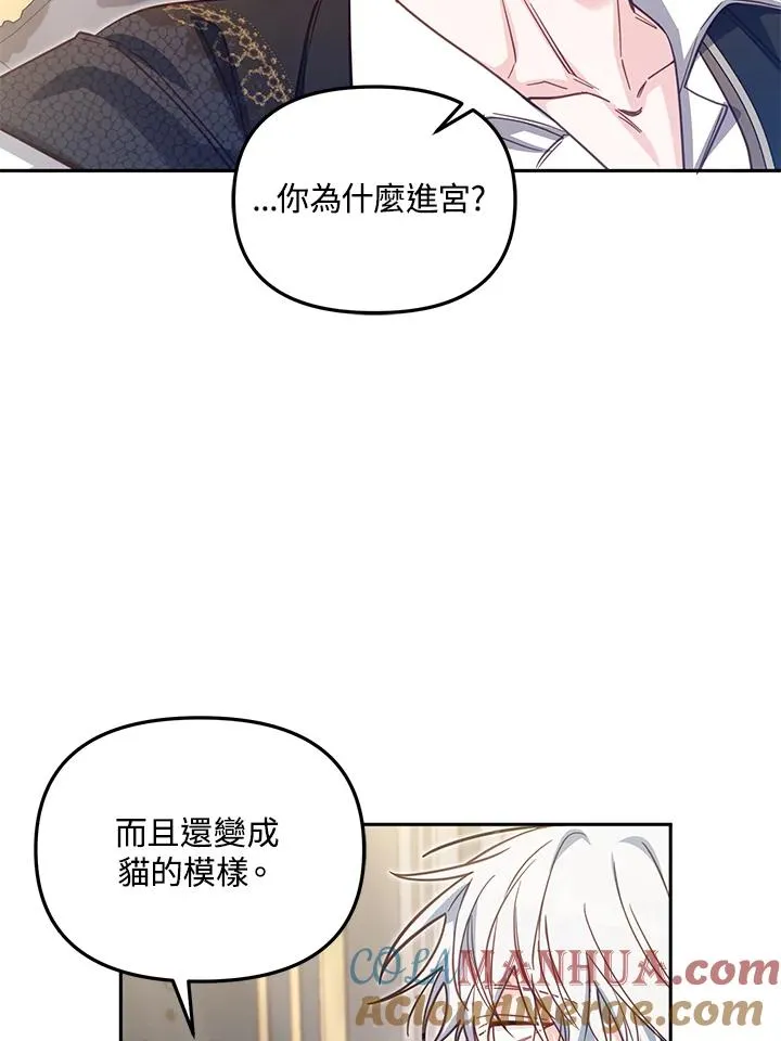 第38话 第49页