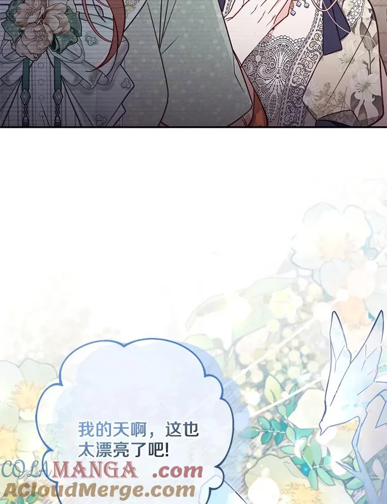 69.生日快乐 第61页
