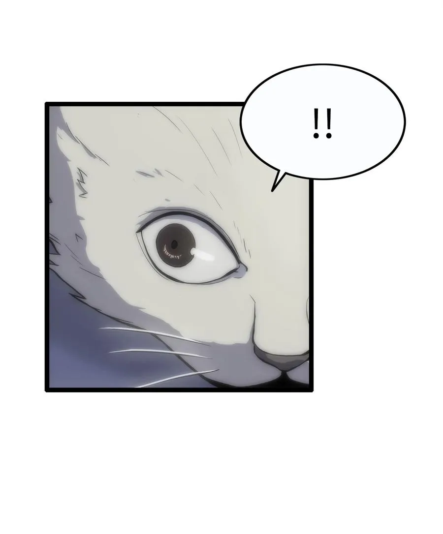 01 老虎现身 第43页