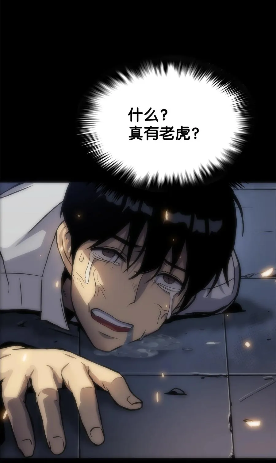01 老虎现身 第74页
