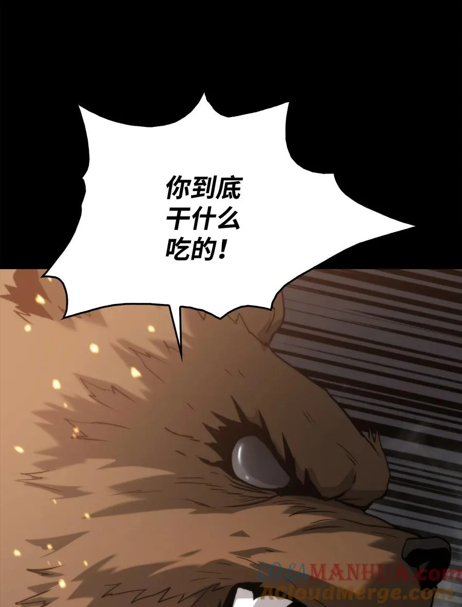 48 老虎危险 第13页