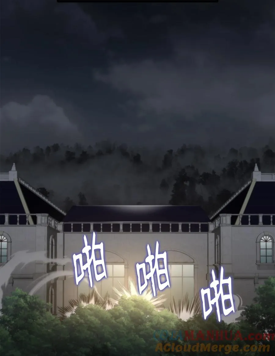 49 老虎失控 第29页