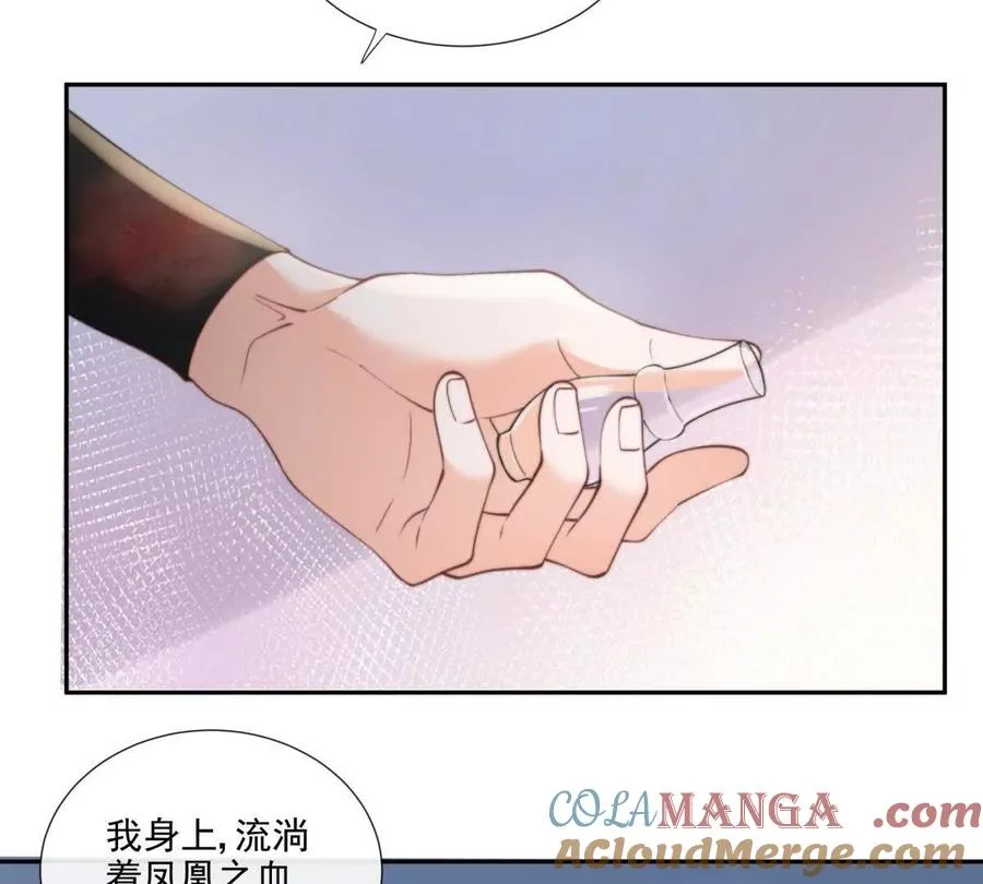 凤凰之血 第17页