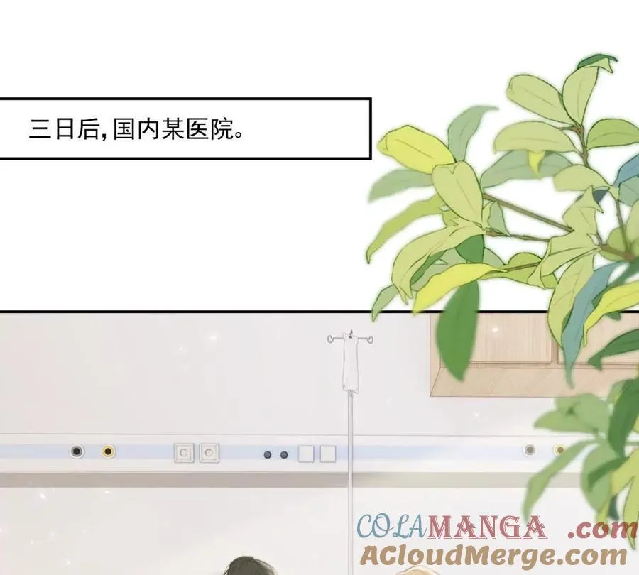 凤凰之血 第65页