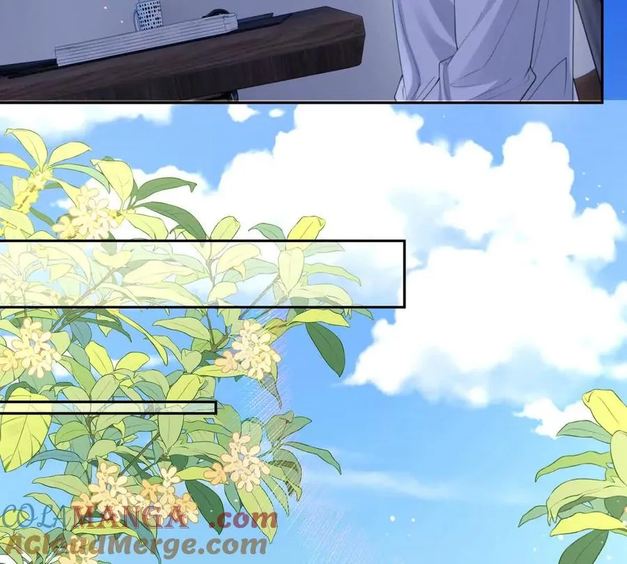 彻底决裂 第28页