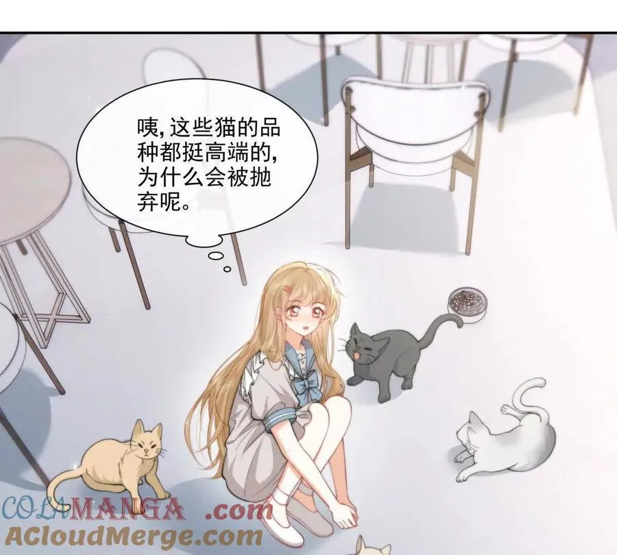 偷猫咪计划 第37页