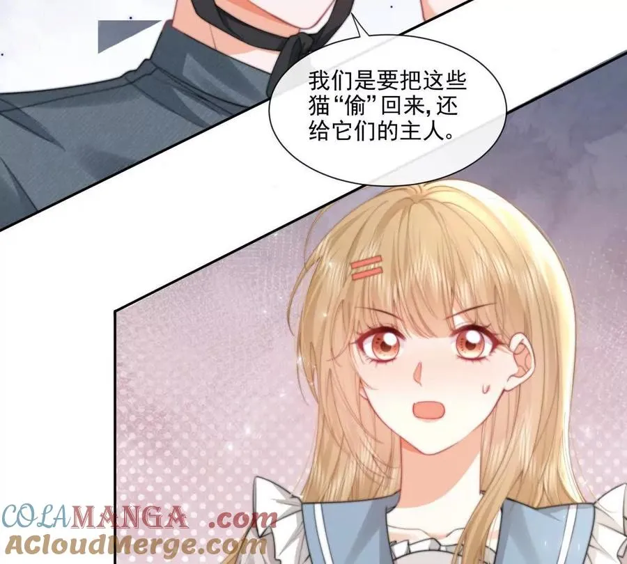 偷猫咪计划 第70页